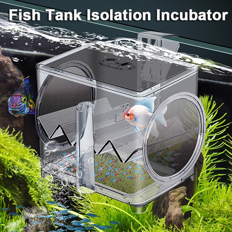

Acrylic +Stainless Steel Fish Tank Isolation Incubator Wall-Mounted Suspended Hatching Room Fry Protection Warehouse 2M Air Tube