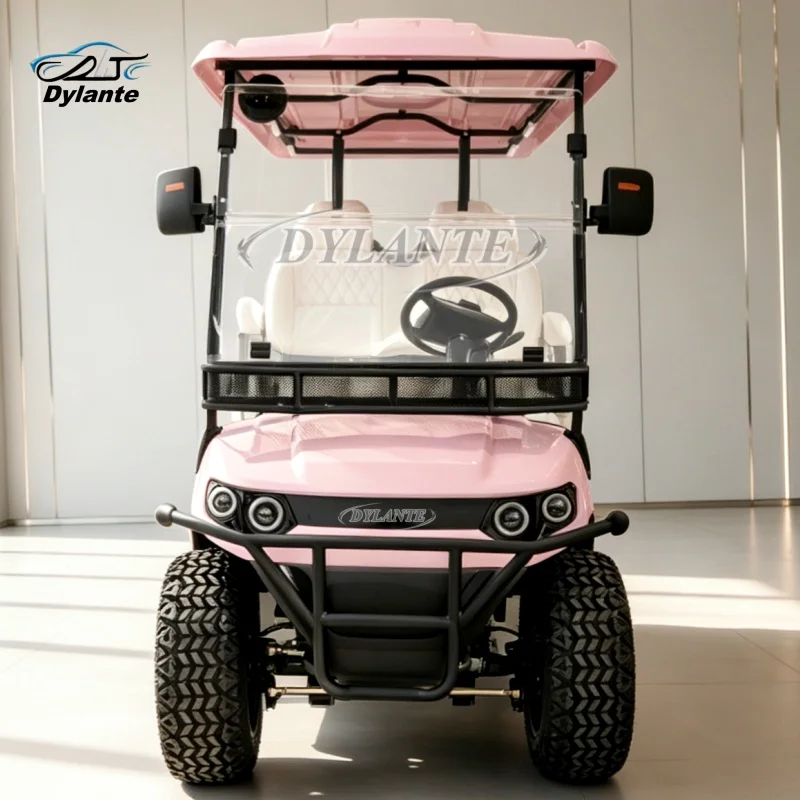 Dylante Golf Cart Rental Luxurious Street Legal Lithium Battery 2 4 6 Seater Electric Lifted Golf Cart Buggy Adult for Sale