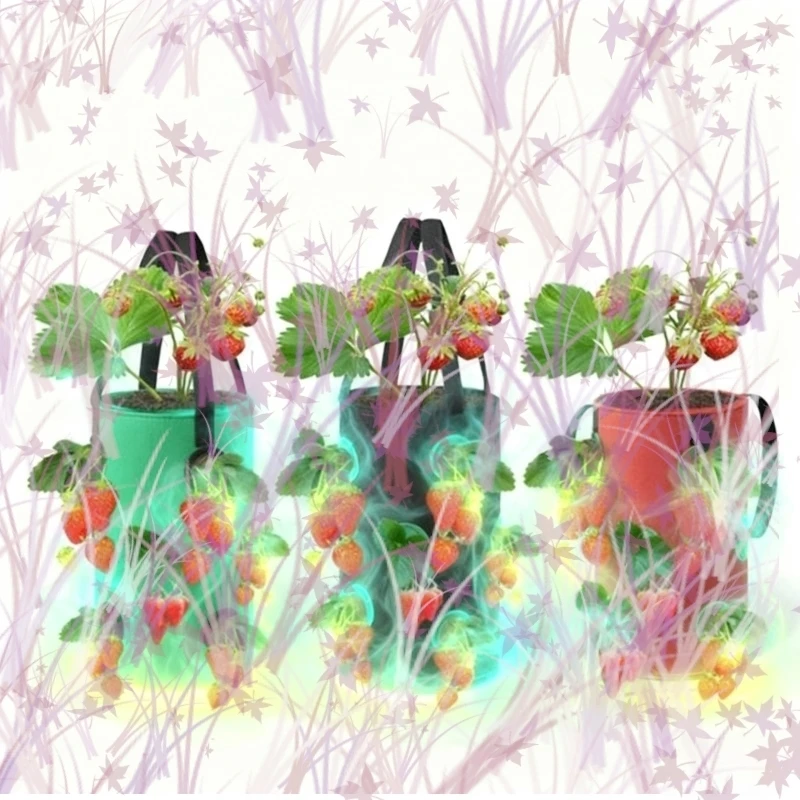 3 Gal 12 Holes Stra… - image