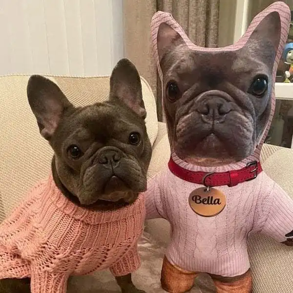 Custom Face Mini Me Plush Doll,Double‑Sided Print Personalized Photo Human‑Shaped Pillow,Custom Souvenir Present