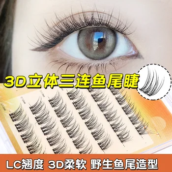 自然な効果のあるワティーフィッシュテールのつけまつげ、コミックシングルクラスター、偽のつけまつげ、怠惰な人々