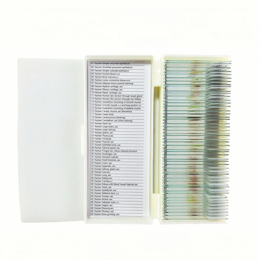 50Pcs Human Teaching Microscope Histology Prepared Slides for Education