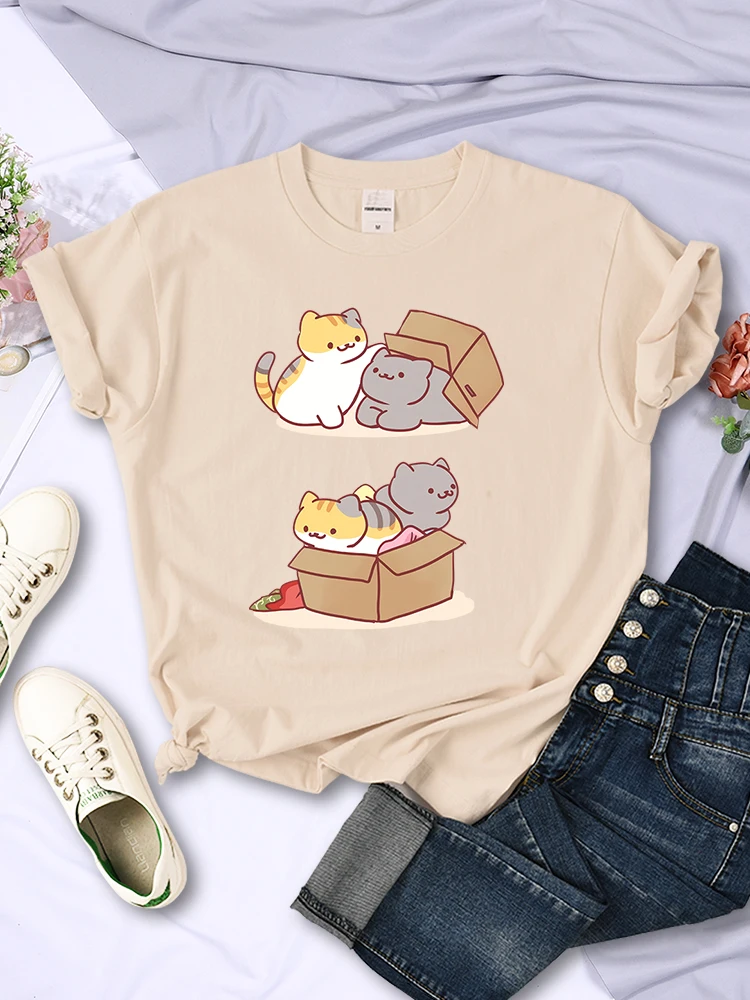 Two Cute Cats Playing Hide And Seek In Cartons Women T-Shirt Fashion Vintage T Shirt Harajuku Clothes Summer Streetwear T Shirts