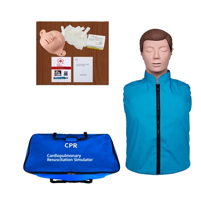 فريدة من نوعها نصف الجسم CPR التدريب القزم PVC والبلاستيك نموذج تشريحي التدريب المدارس العلوم الطبية المنقذة للحياة المهارات Trai #2