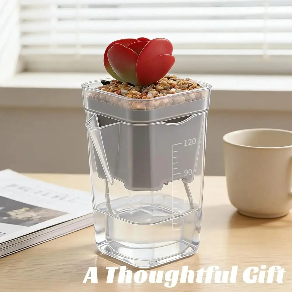 2/4/6pcs Plastic Seedling Plant Pot Translucent With Drainage Holes Flower Pot Automatic Watering Planter Nursery Cups