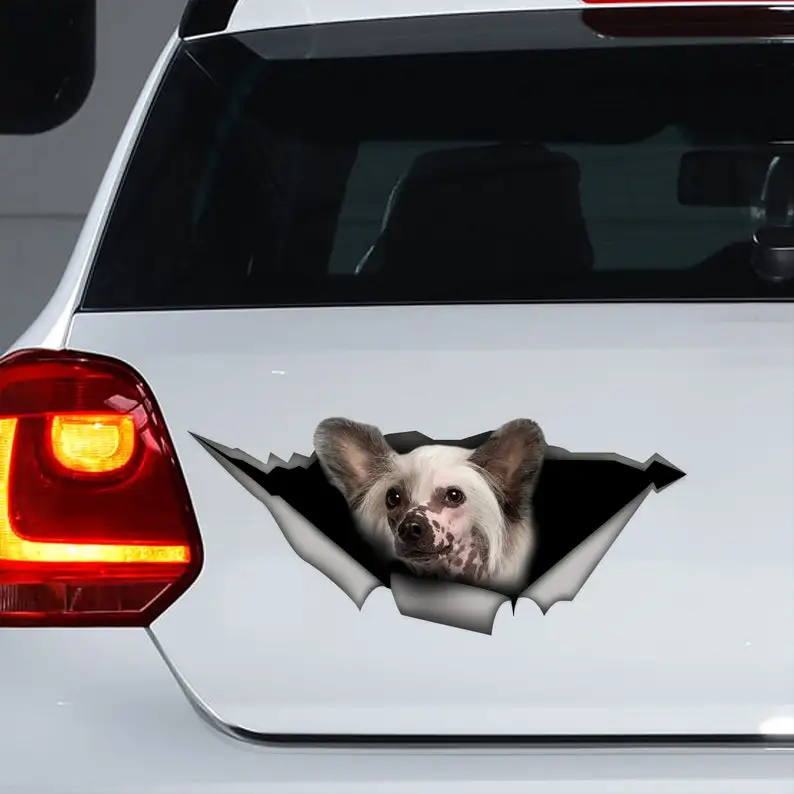 Chinese Crested Dog decal, Chinese Crested Dog car sticker, Chinese Crested Dog magnet