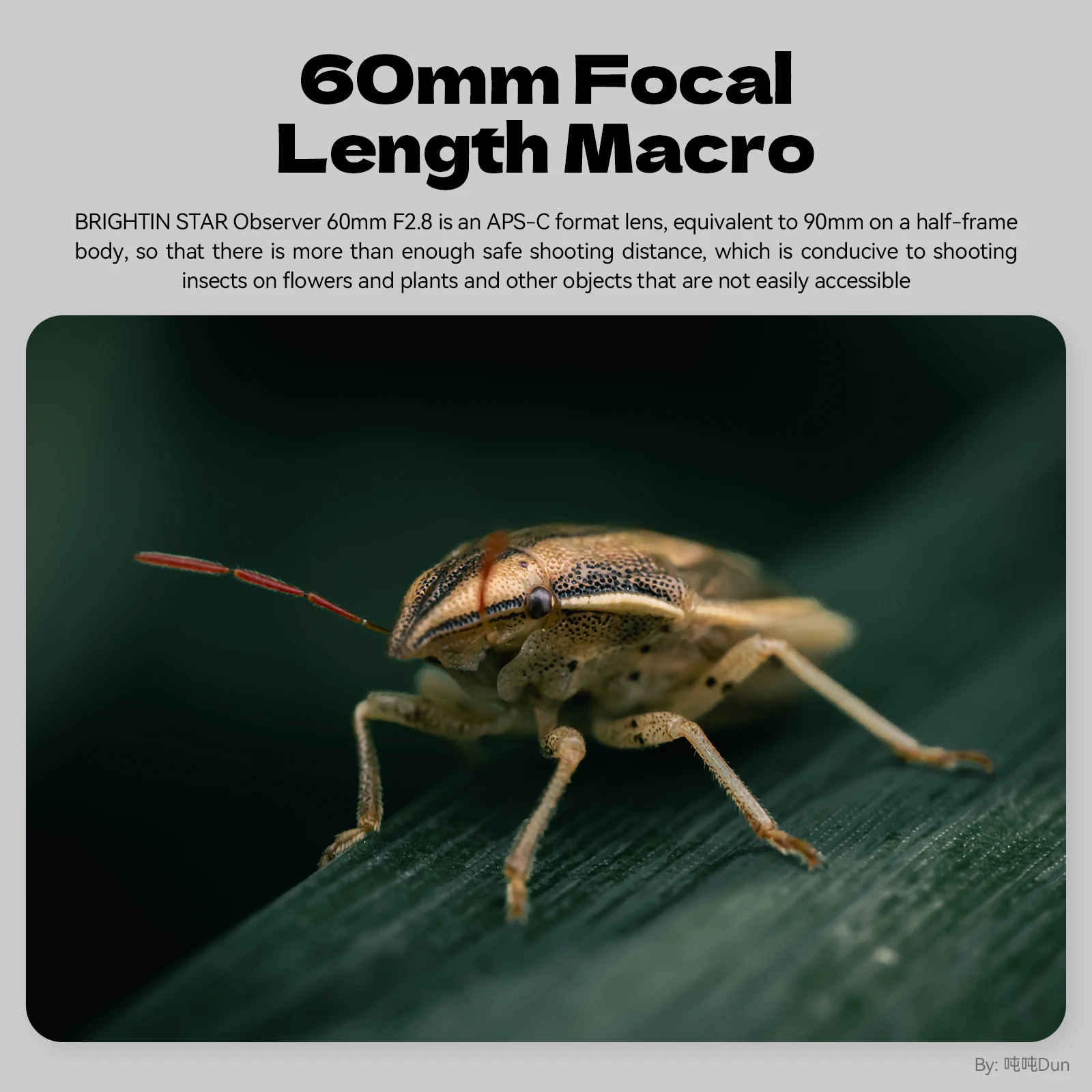 Obiektyw Brightin Star 60mm F2.8 II z 2-krotnym powiększeniem makro, ręcznym ustawianiem ostrości, do aparatów bezlusterkowych Sony E, Canon RF, Nikon Z, Fuji XF