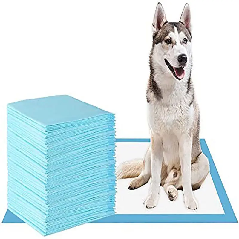 

Disposable Highly Absorbent Dog Urine Pad Puppy Training Urine Pad Blue Cleaning Tianjin Sustainable For 3 Days