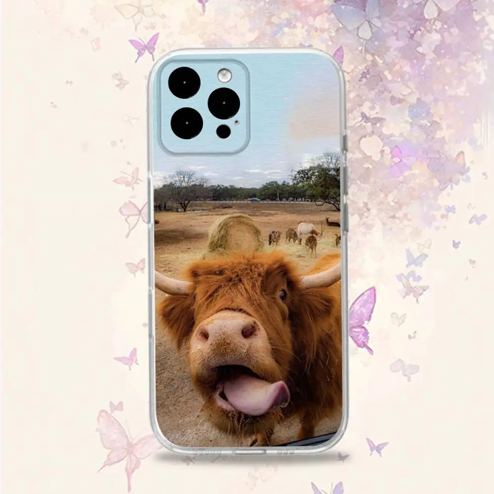 C-Cow FurryS H-HighlandS Handyhülle für iPhone 11,12,15,16,17,13,14,Pro,Max,Plus,E,Mini,Air,SE4 Weiche TPU-Rückseite mit transparenter Rückseite