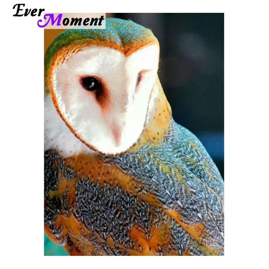 

Алмазная картина Ever Moment, изображение совы, ручная работа, полная квадратная круглая дрель, алмазная вышивка, украшение для дома ASF1400