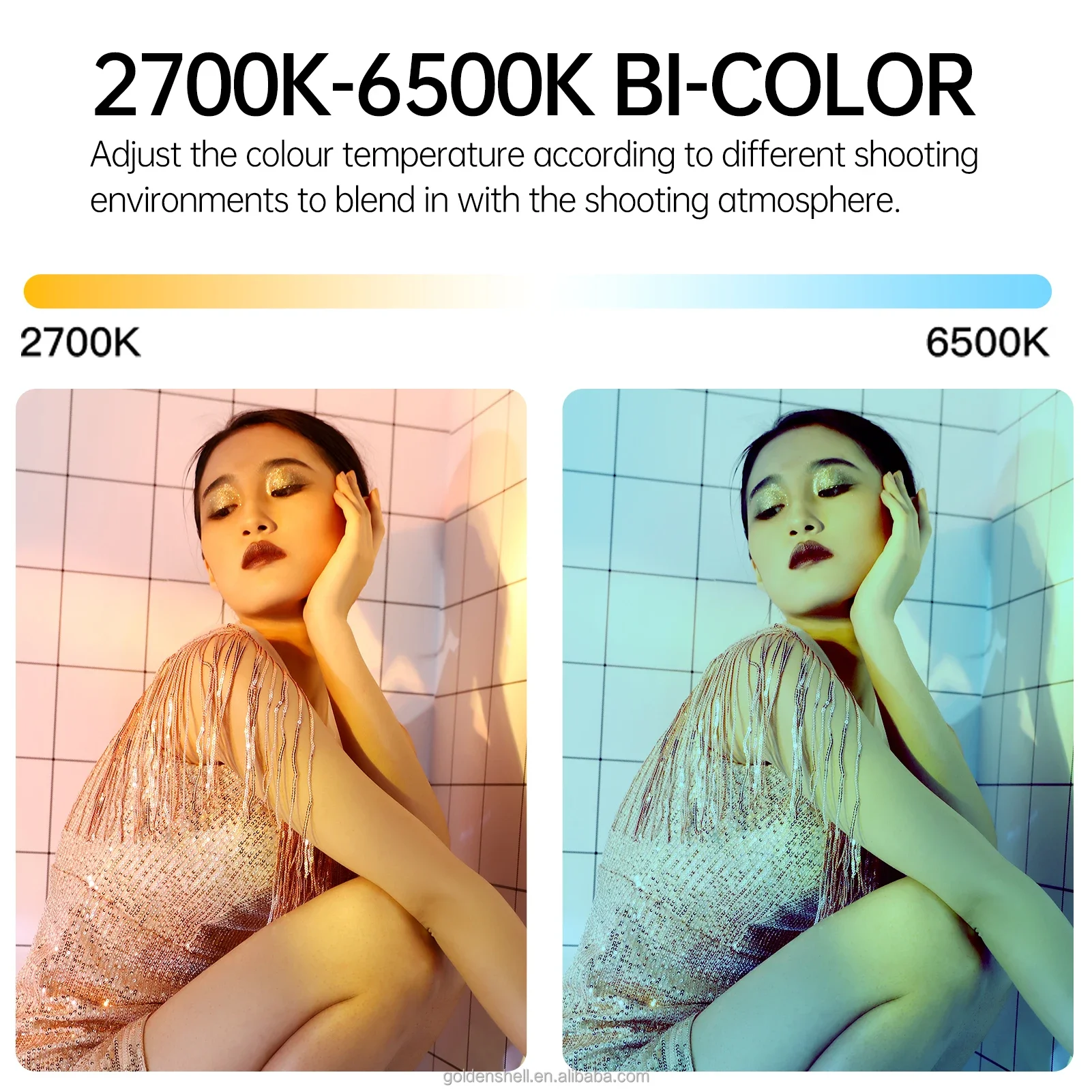 Hot Sale JINBEI EF-60BI 60w Photography Lighting Portable Ultra-Compact Handheld Outdoor LED Video Light Kit With Carrying Case