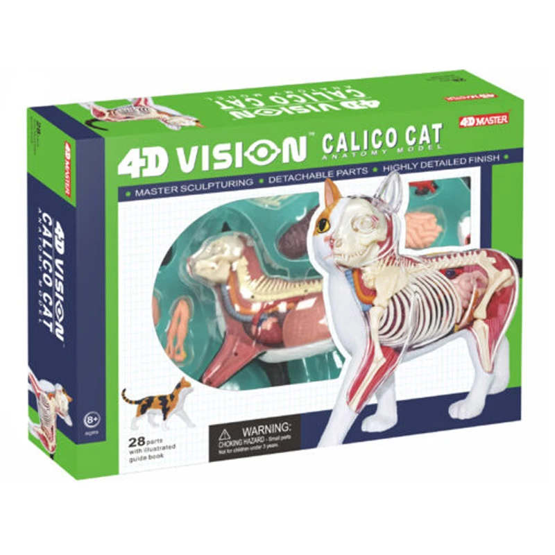 4D Vision Calico Cat Anatomy Model Skeleton Anatomical Model Fully Detachable Organs Body 28 Parts Kids Science Educational Toys