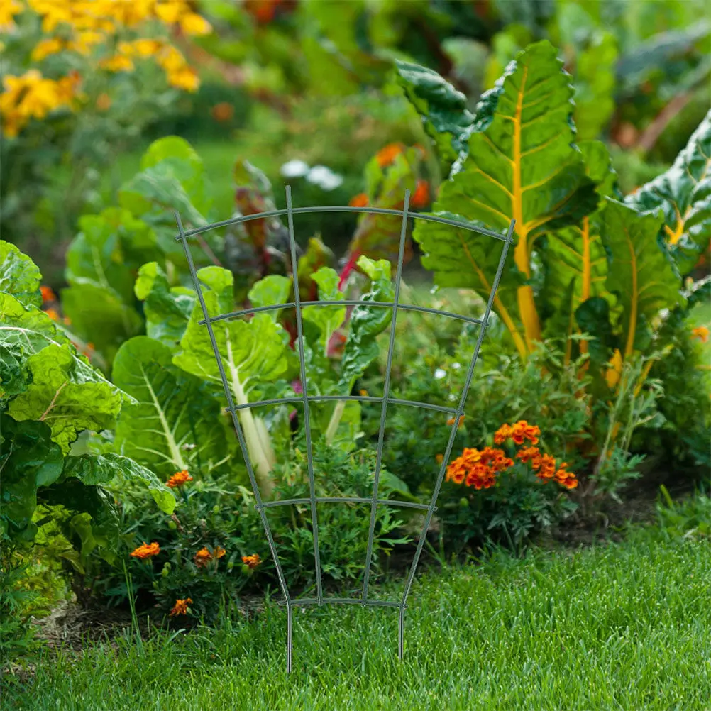 

Набор из 3 элегантных металлических опор для вьющихся растений: для уличных и комнатных растений в горшках, поддержка для томатов, огурцов, гороха, бобов, роз.