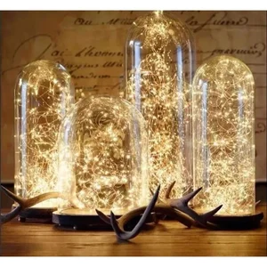 LED Fairy Light Dây đồng, pin, vòng hoa, đèn dây, ngoài trời, vườn, tiệc tùng, đám cưới, trang trí Giáng sinh, 5m 10 Ánh sáng đêm bán hàng chính - №6
