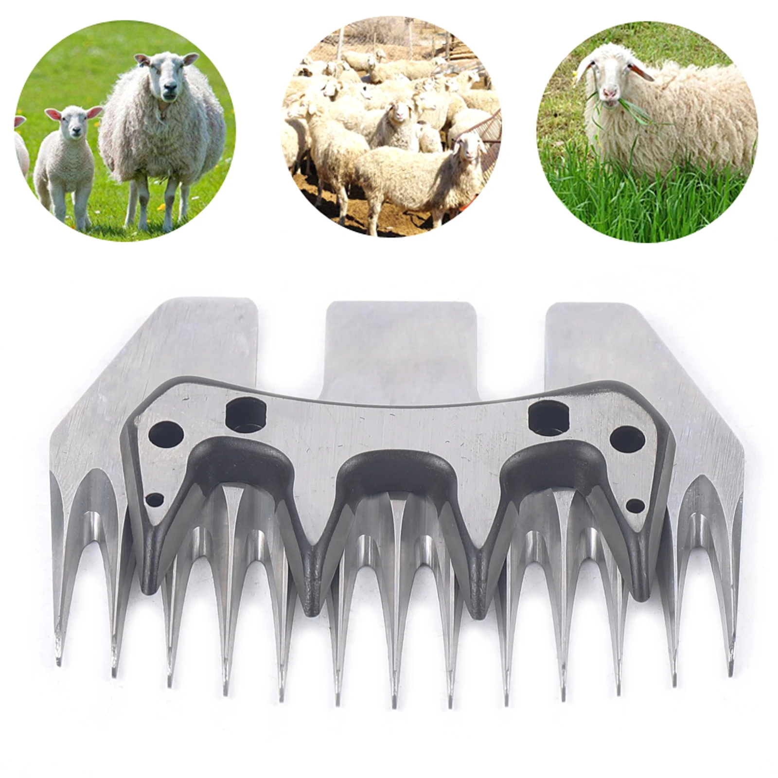 

13 Tooth Strength Straight Blade Stainless Steel Goat Shearing Sheep Clipper Cutter Comb Scissor Spare Blade