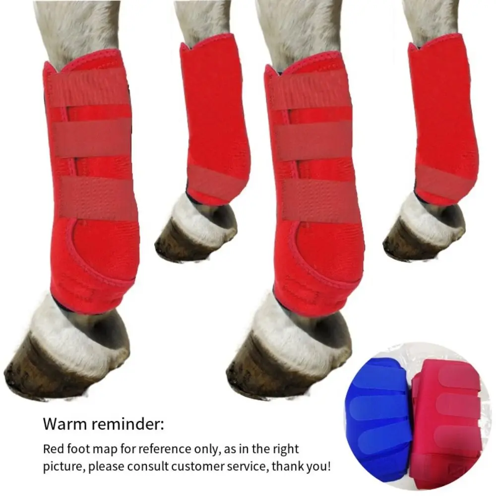 Colorido Cavalo Esporte Botas Set, Durable Respirável Medicina Escovar, fácil de usar, Frente Hind Legs Guard, 3 Tamanhos, 4Pcs