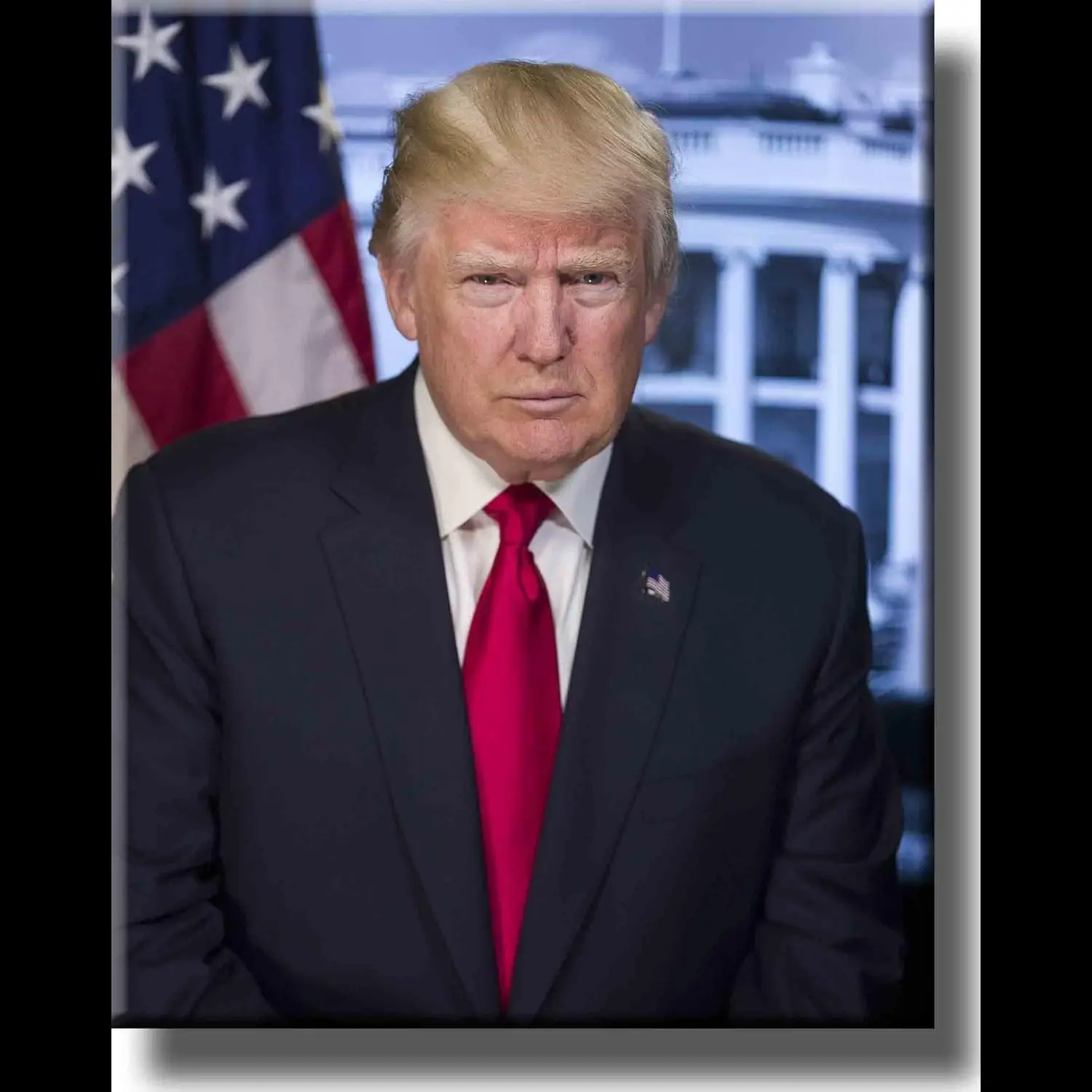 Donald Trump Stretched Canvas Wall Art Dcor  Ready to Hang HighQuality Presidential Portrait for Home Office or Gift  Unique Wal