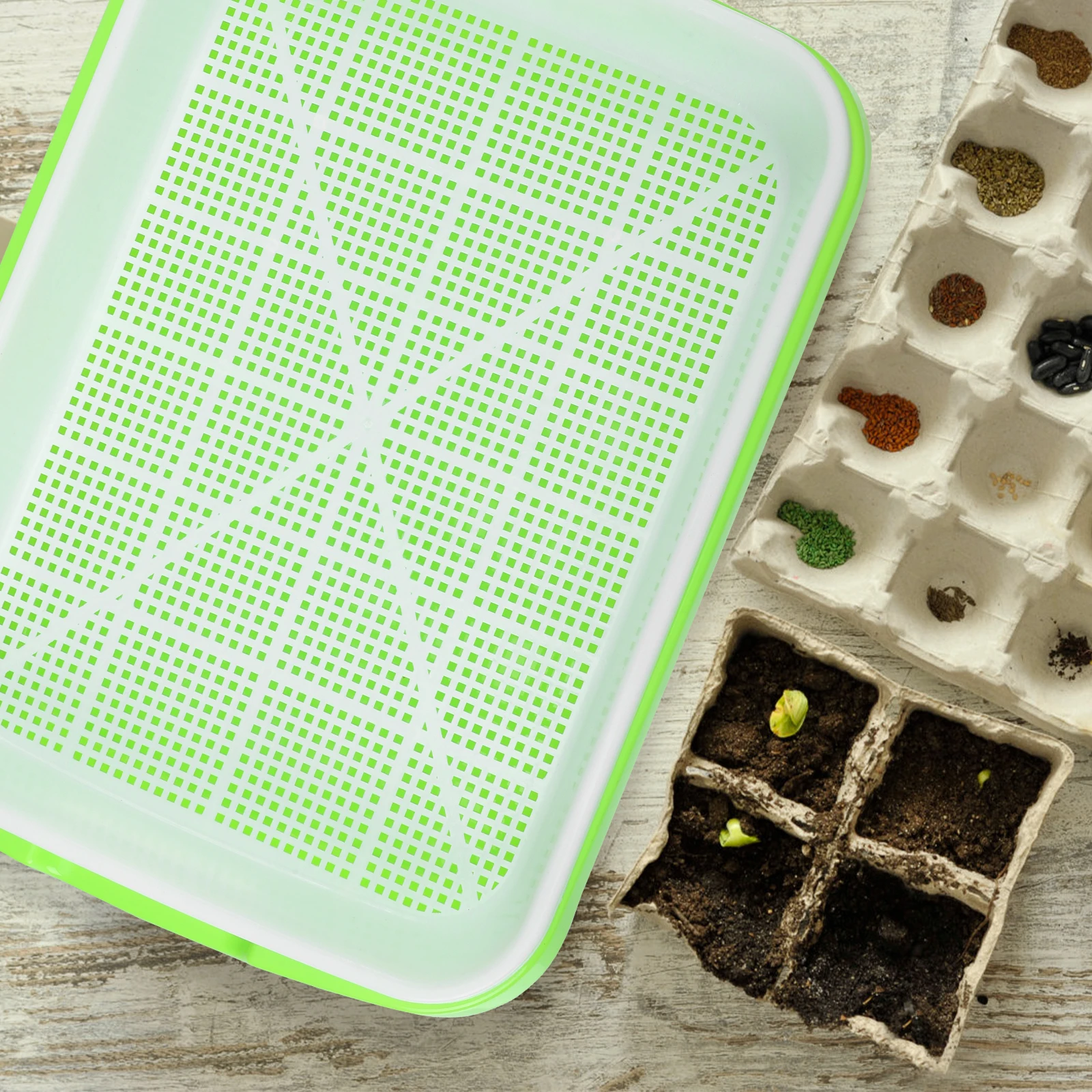 

Germination Tray Hydroponic Nursery Pot For Wheatgrass Sprouting Soil-Free Growing Reusable Plastic Basin