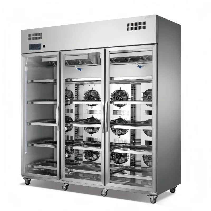 Intelligent thawing fresh-keeping cabinet Low temperature and high humidity beef fresh-keeping commercial equipment All stainles
