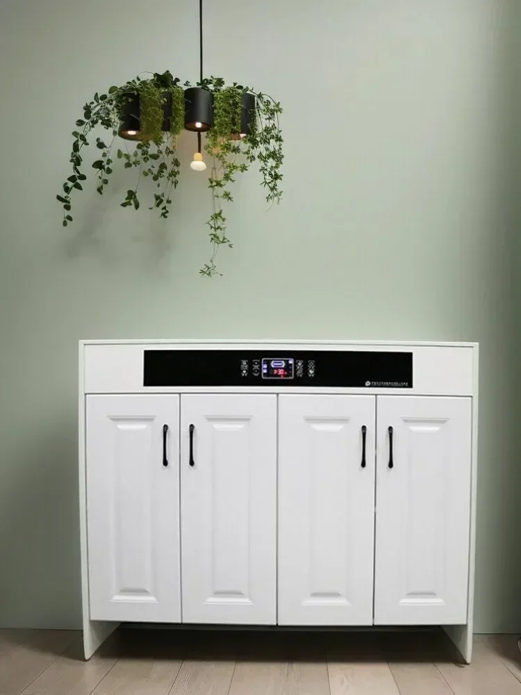 Smart shoe cabinet deodorization drying  solid wood household