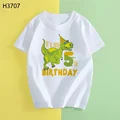 H3707-KSTWH-