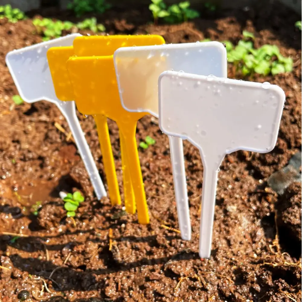 Natural Snail Slug Trap Catching Box Garden Pest Repellent Accessory For Terrace Balcony Planting Home Garden