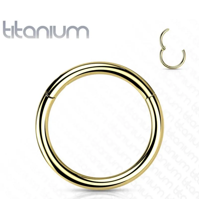 

20pcs G23 Titanium 20G 18G 16G Ear Nose Seamless Hinged Segment Ring Nose Clicker Cartilage Lip Hoop Earring Tragus Daith Helix