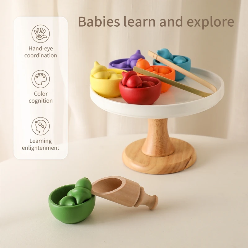 Montessori Spielzeug Holz Acorn Baby Farbe Sortierung Sensorischen Spielzeug Kinder Feine Motor Geschick Bildung Spielzeug Für kinder Geburtstag Geschenk