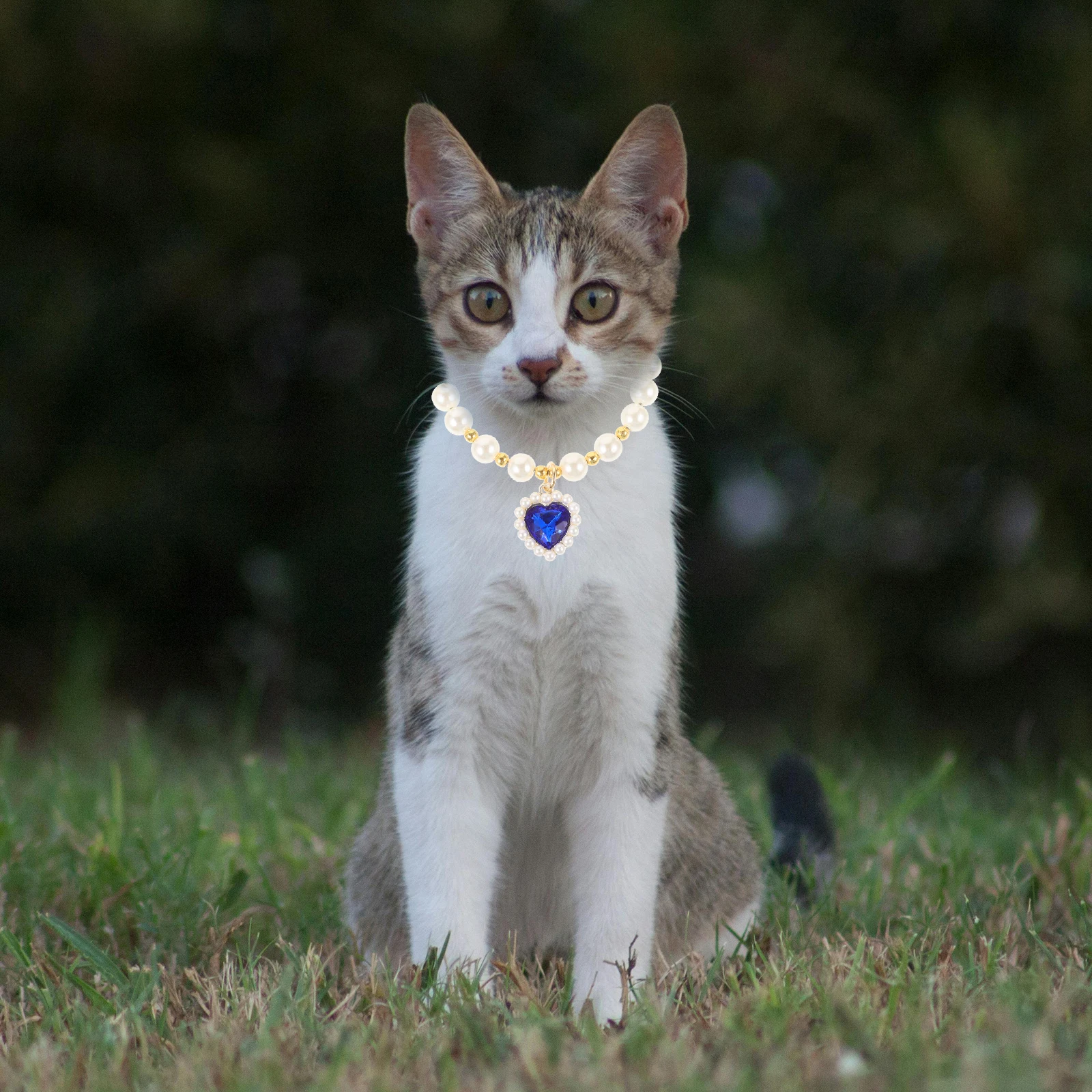 

Pet Pearl Necklace Small Animal Adjustable Collar Party Cat Accessory Decorative Collar Small Animal Necklace