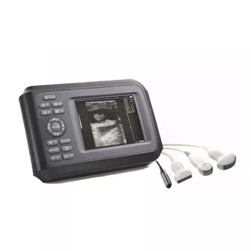 

Portable Pig Cow Dog Goat Sheep Diagnostic Ultrasound Vet Scanner Ultrasound Veterinary