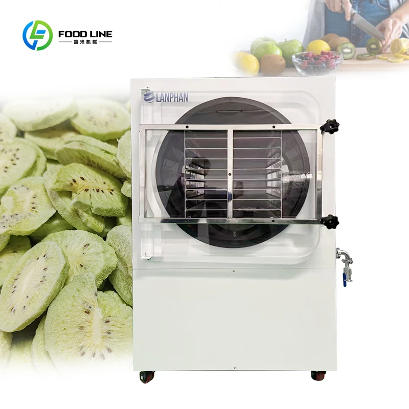 Industrial Commercial 60-70KG /Batch Hfd-50 Large Vacuum Lyophilizer Freeze Dryer for Food Fruit Freeze Drying Machine