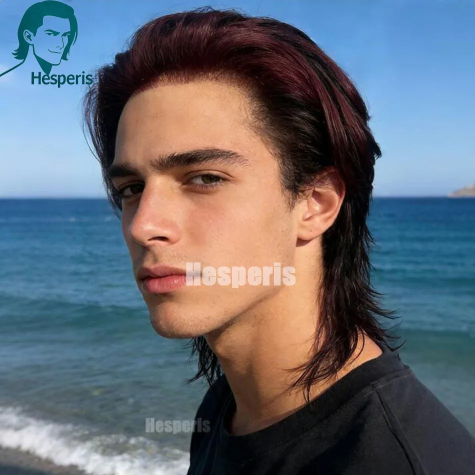 Hesperis Burgundy Short Straight Human Hair Wig for Men Full Lace Pre-Cut Ombre 99J Glueless Wig Natural Highlight Style