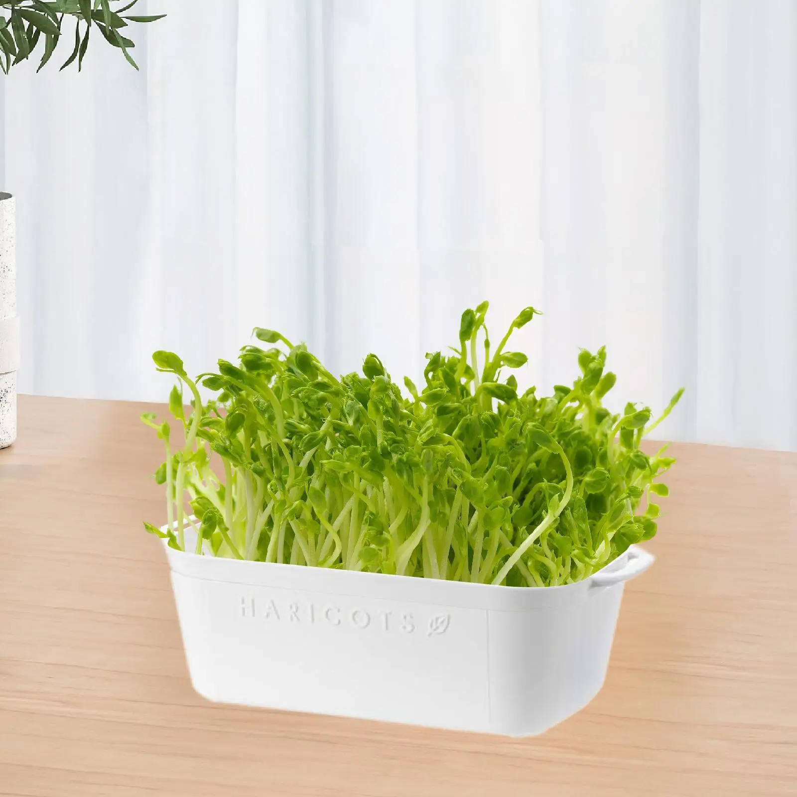 Sprout Tray White Vegetable Planter Convenient Reusable Multipurpose Germination Tray for Home Greenhouse Indoor Kitchen Garden