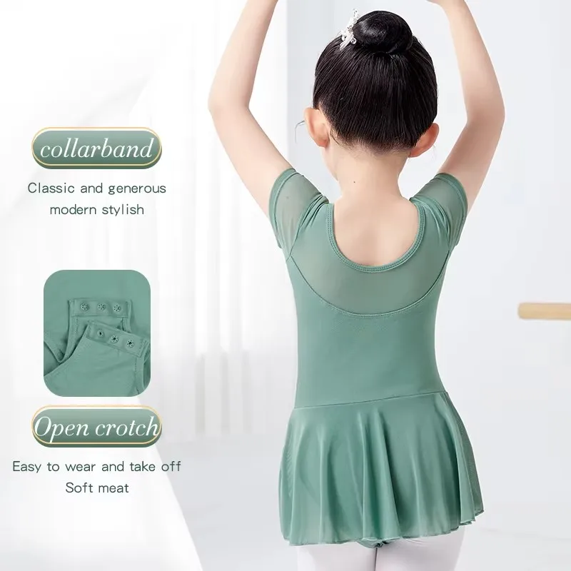 Girls Ballet Dress Short/Long Sleeves, Soft Mesh Tutu Skirt for Dance Class, Practice, Exam - Spring Summer Wear