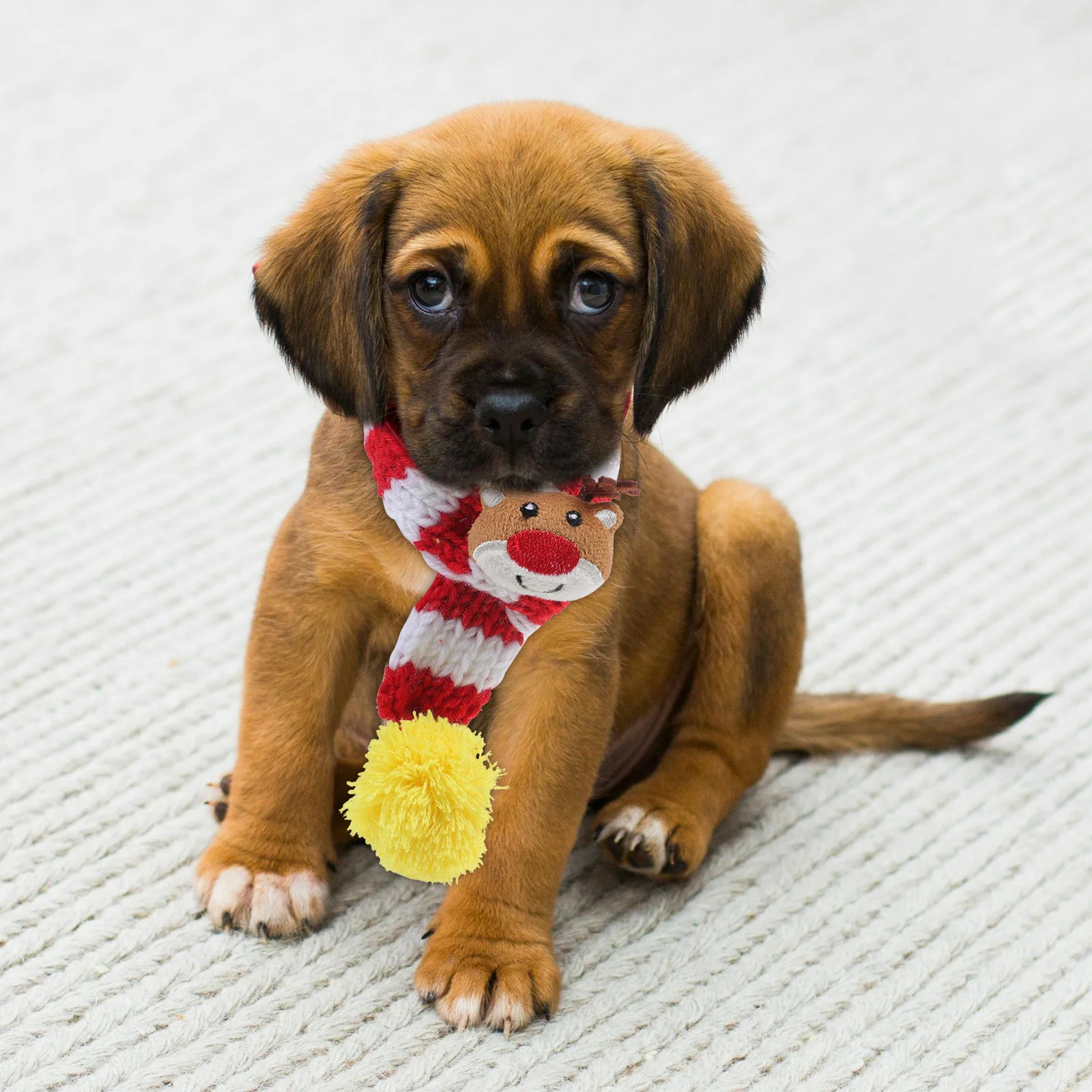 

Christmas Dog Scarf Santa Comfortable Cat Decorative Pet Supplies Pets Accessories