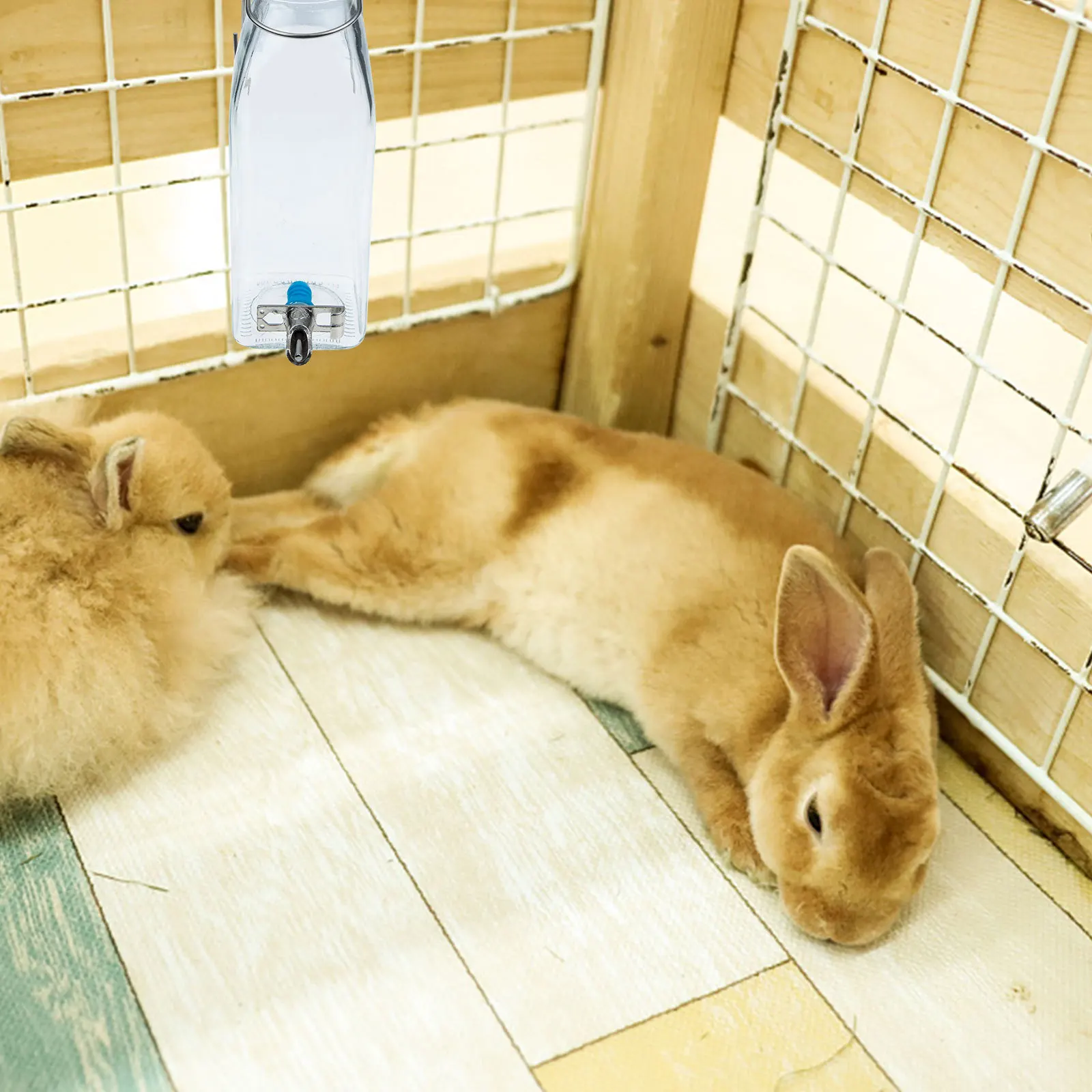 

Easy to Use Water Bottle Rabbit Stainless for Rabbits Observe Level Bunny Dispenser Effortless Drinking