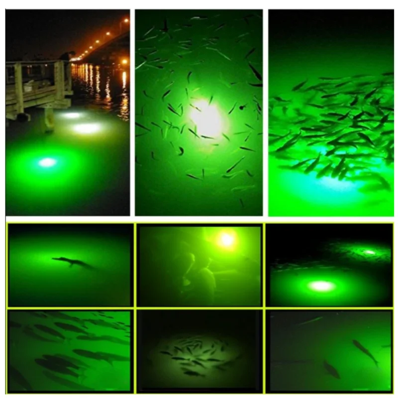 ISURE MARINE 12V 30W LED Green Fish Lure Light Fishing Light Underwater Diving Light Fish Collecting Light