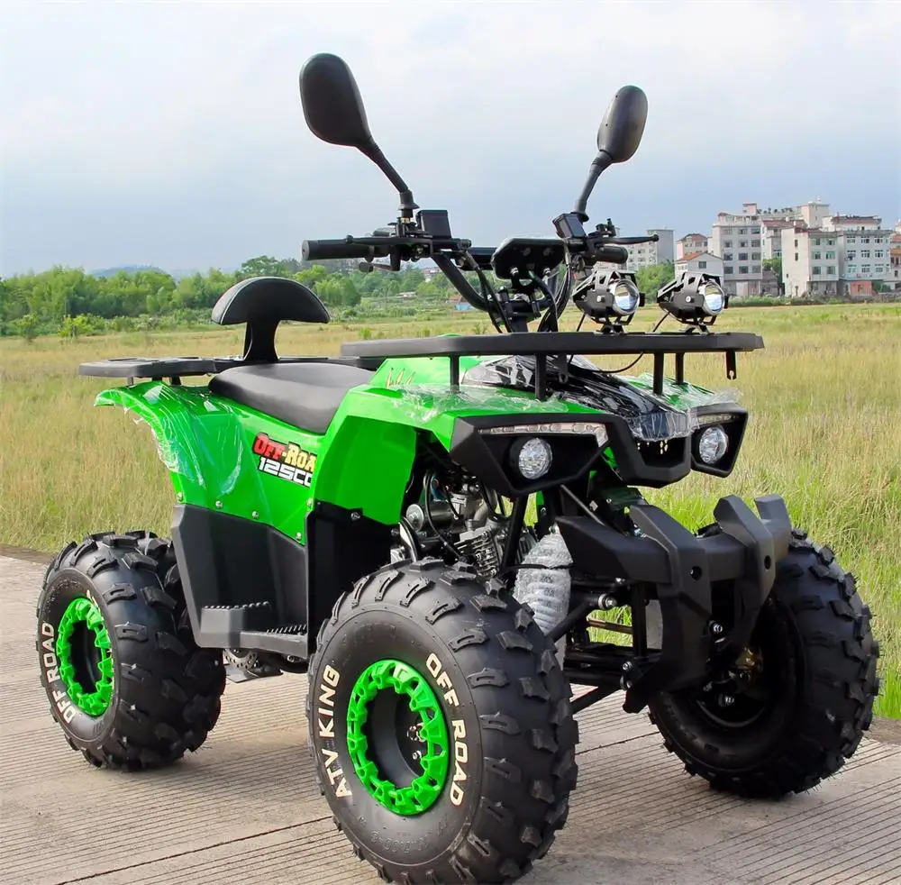 125CC 4 Stroke 2 Cylinder Gasoline Adult ATV