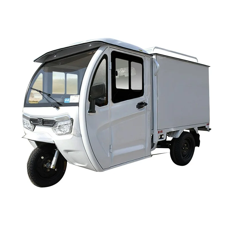 Cargo Delivery Van Express Food  1000Watt Electric Vehicle Moving Transport Express Tricycle