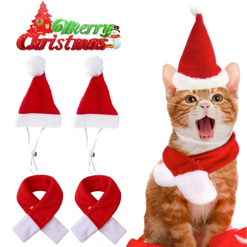 �y�Z�[�����z�N���X�}�X�X�q �X�J�[�t �������^�� �L �r�[�j�[�n�b�g �y�b�g �q�� �����\ �T���^�X�q �N���X�}�X�R�X�`���[�� �ߑ��Z�b�g �p�[�e�B�[�ʐ^�B�e�p������