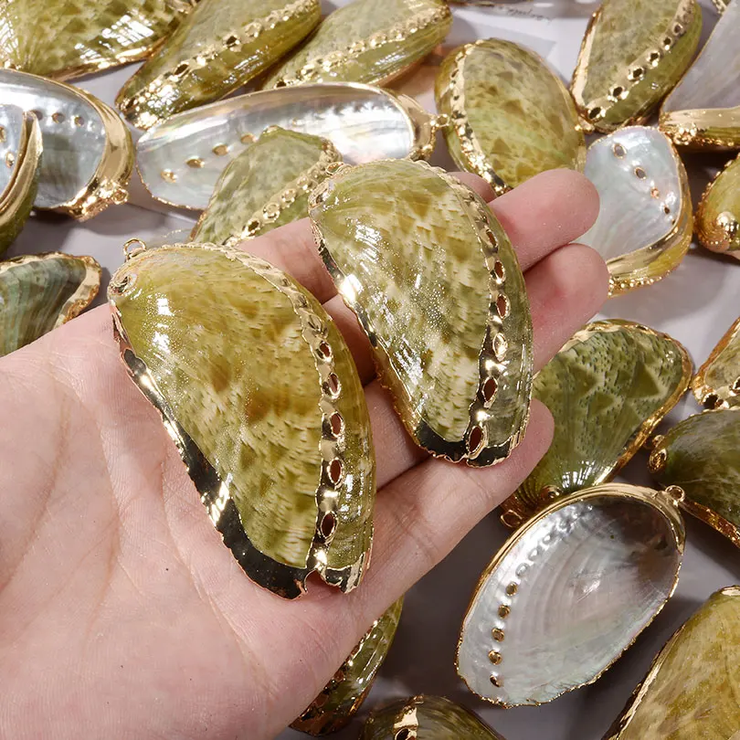 Natural Seashell Conch Pendants for DIY Jewellery Making