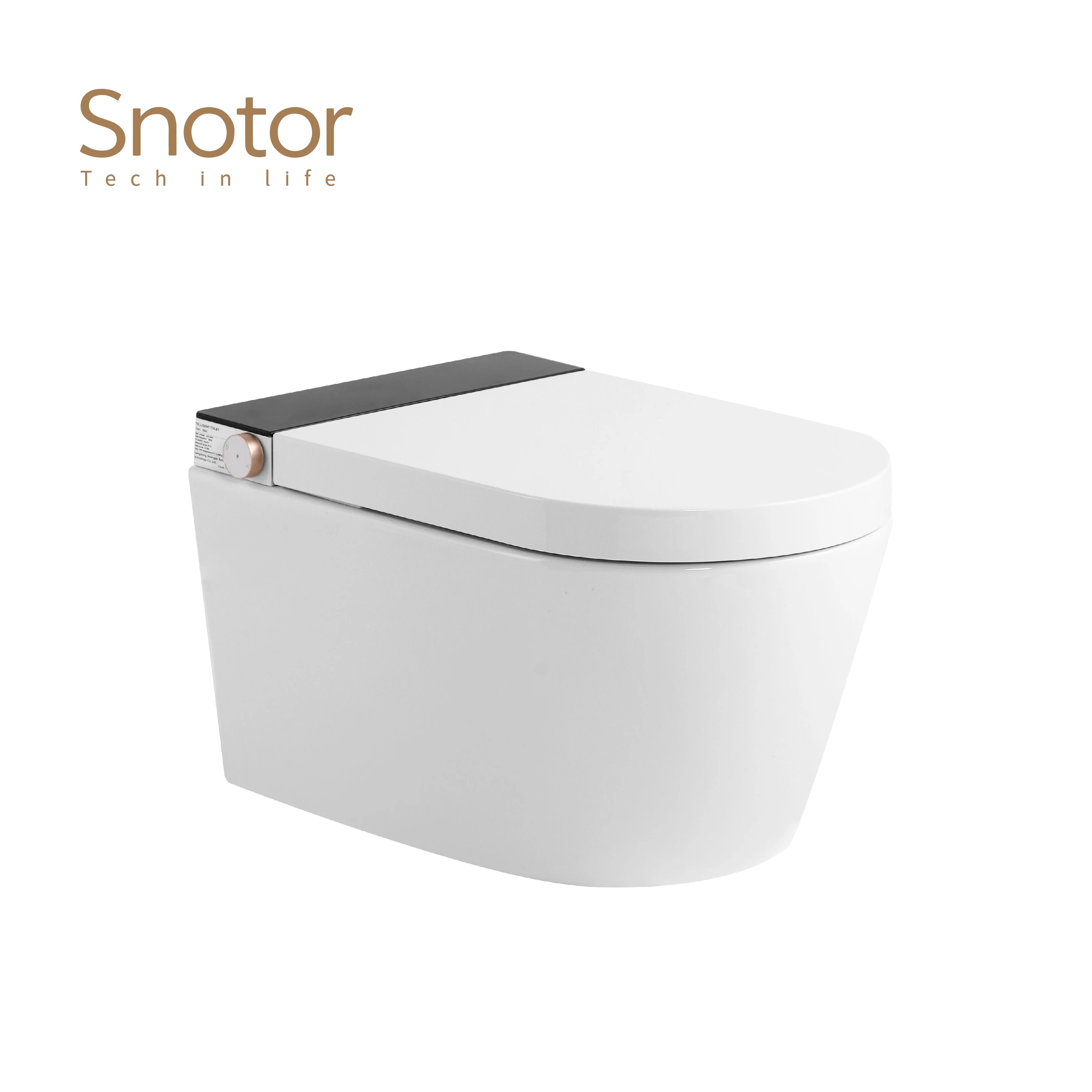 

Australia Popular SAA Watermark CE Certificated Smart Wall Hung Toilet With Concealed Tank