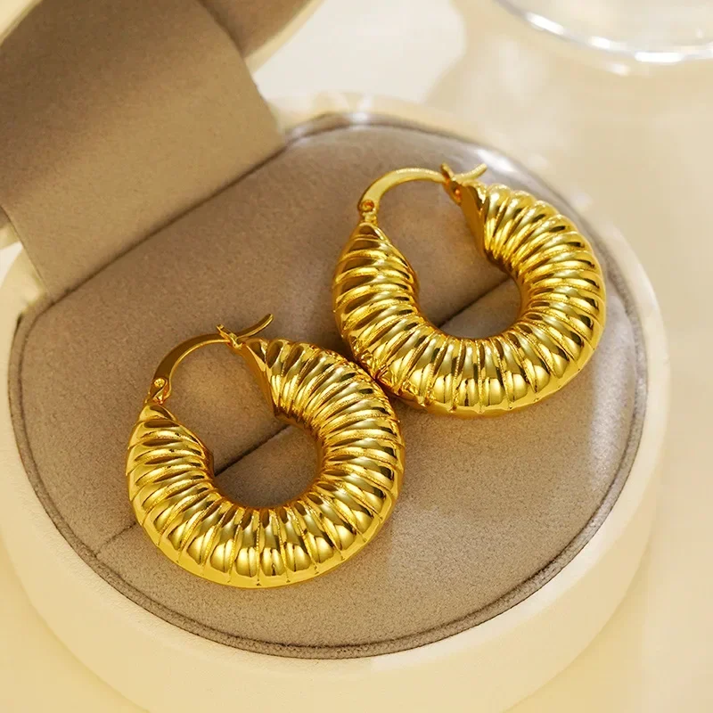 مشبك أذن بارد معدني أوروبي وأمريكي جديد لعام 2025 للنساء، نهاية عالية، مكانة، مجوهرات شخصية مبالغ فيها