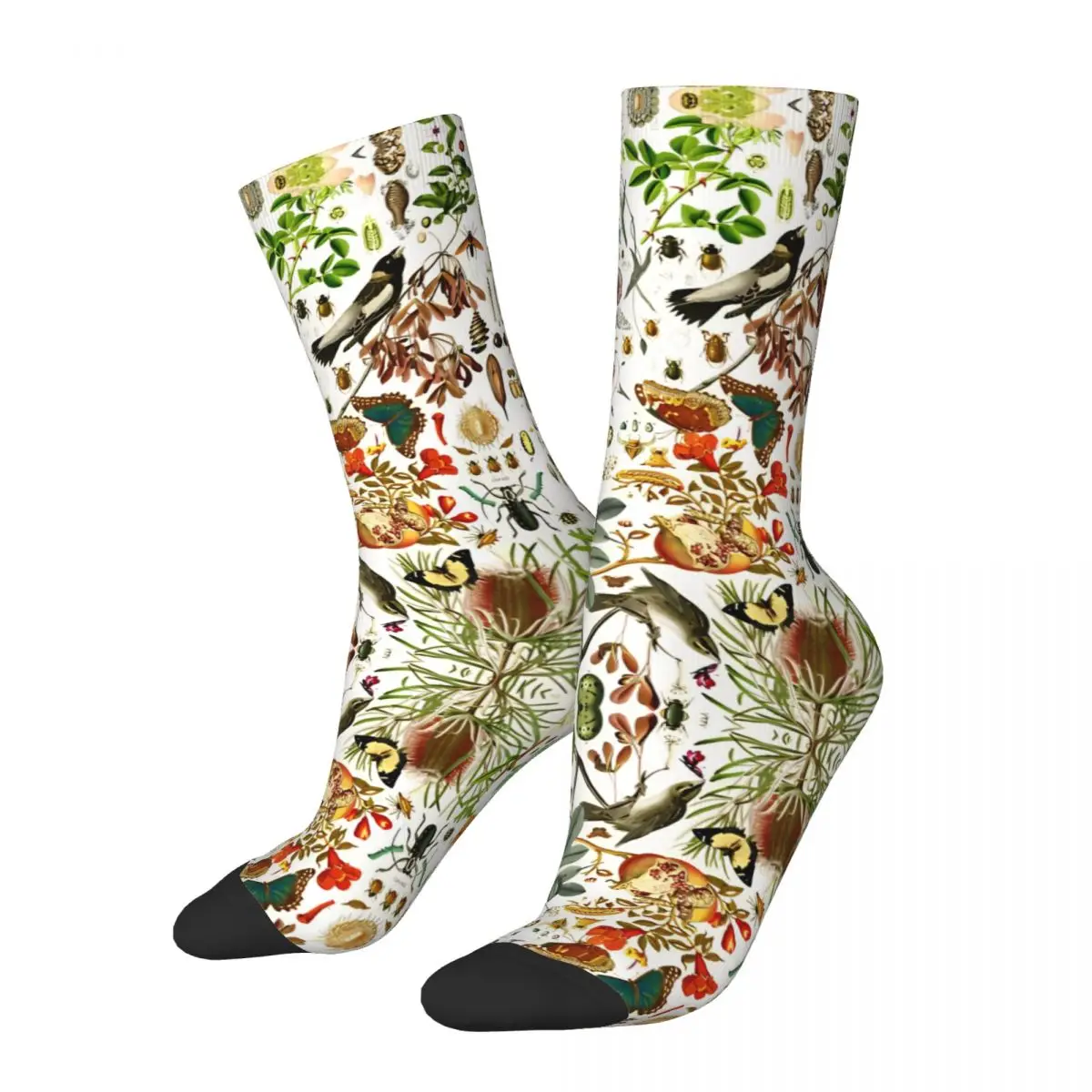 Insects Harajuku Socks Biology 101 Funny Stockings Men\'s Comfortable Outdoor Socks Spring Pattern Anti Bacterial Socks