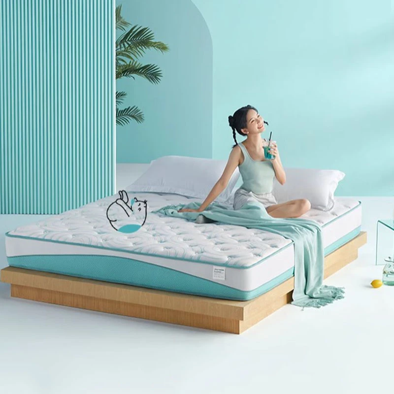 Floor High Quality Mattresses Spring In A Box Cozy Bedroom Memory Foam Mattress Foldable Sleep Colchon Matrimonial Furniture