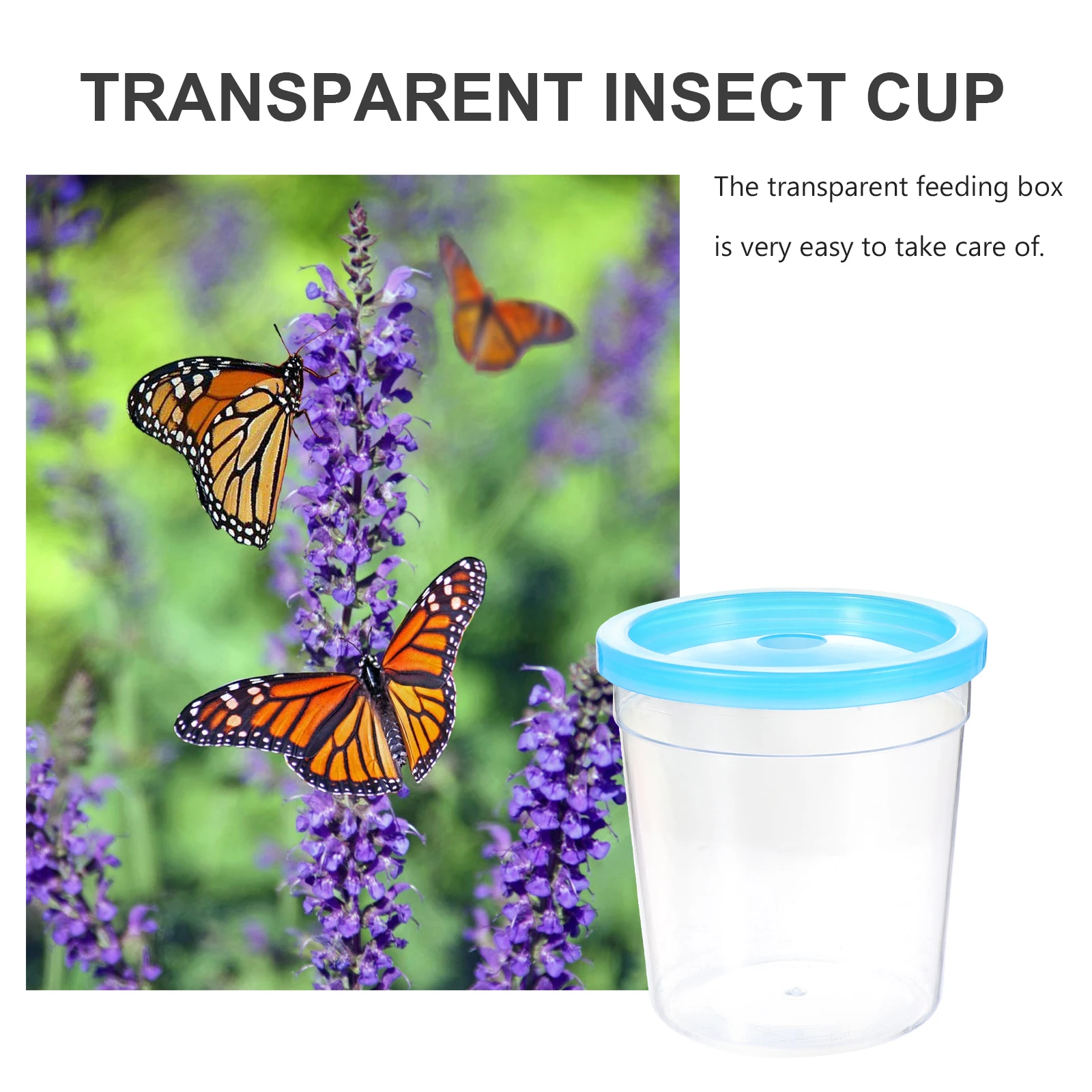 

Reptile Feeding Box Plastic Container Tank Habitat Transparent Jellyfish Cup Insect Box Small Turtle Scorpion Spider Betta Fish