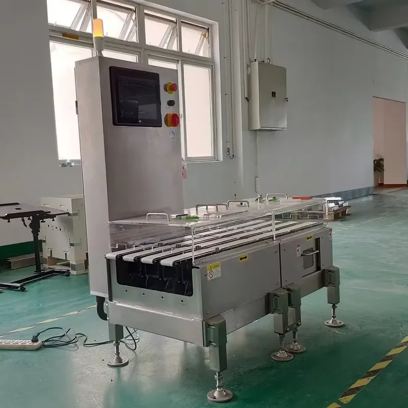 Multi-Lane High Precision Checkweigher | Accurate Weight Inspection for Food, Industries