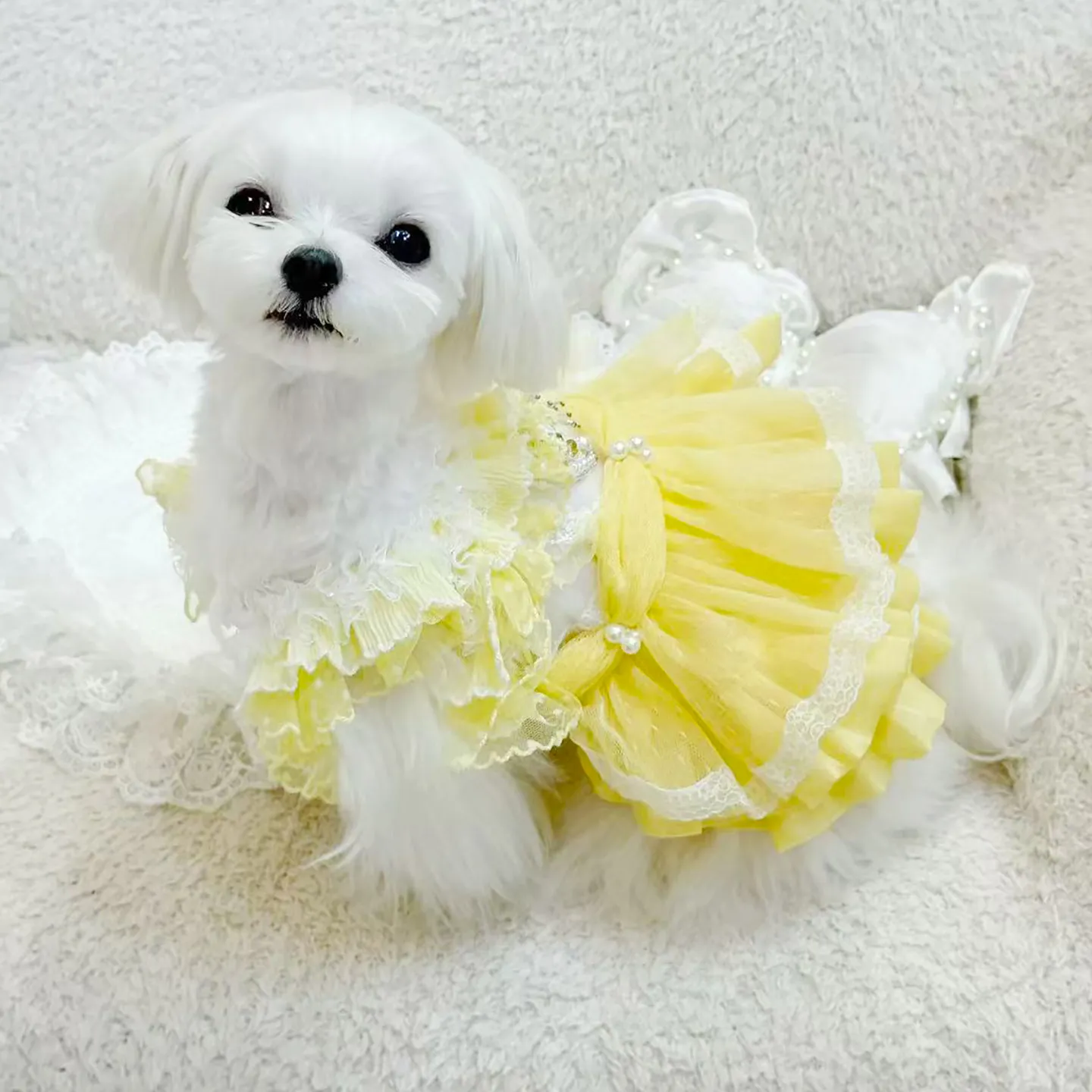 

Luxury Handmade Cotton Dog Dress Yellow Butterfly Lace Princess Coat for Small to Medium Puppies Fashionable Pet Clothing