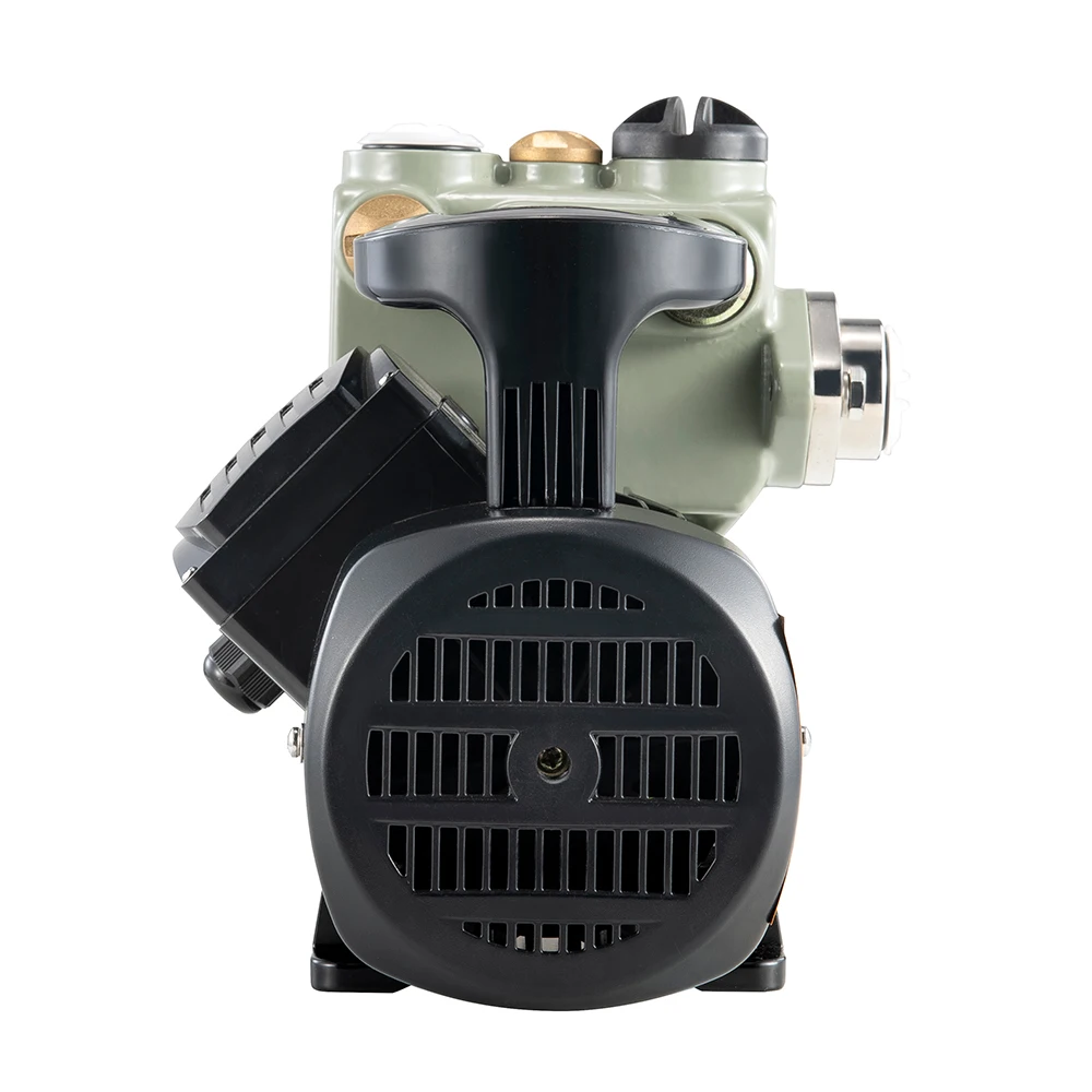 

300W Self-Priming Water Pump, Hot Water Tank Ac 220v Mini Water Pump