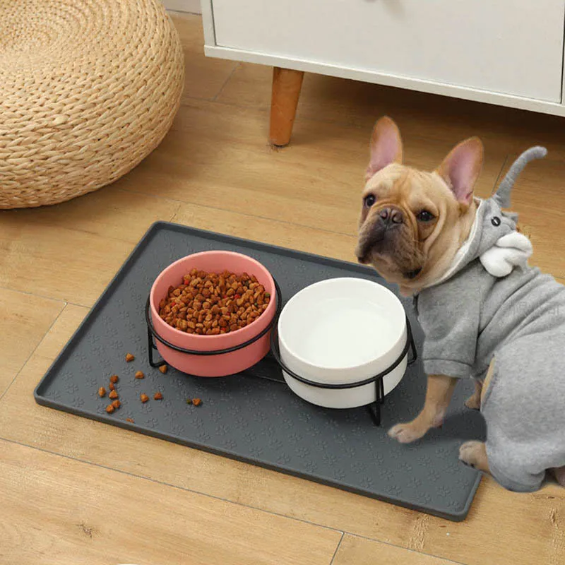 Thumbnail 3 - #2 Top 30 Raised Dog Feeding Stations Worth Buying In 2026